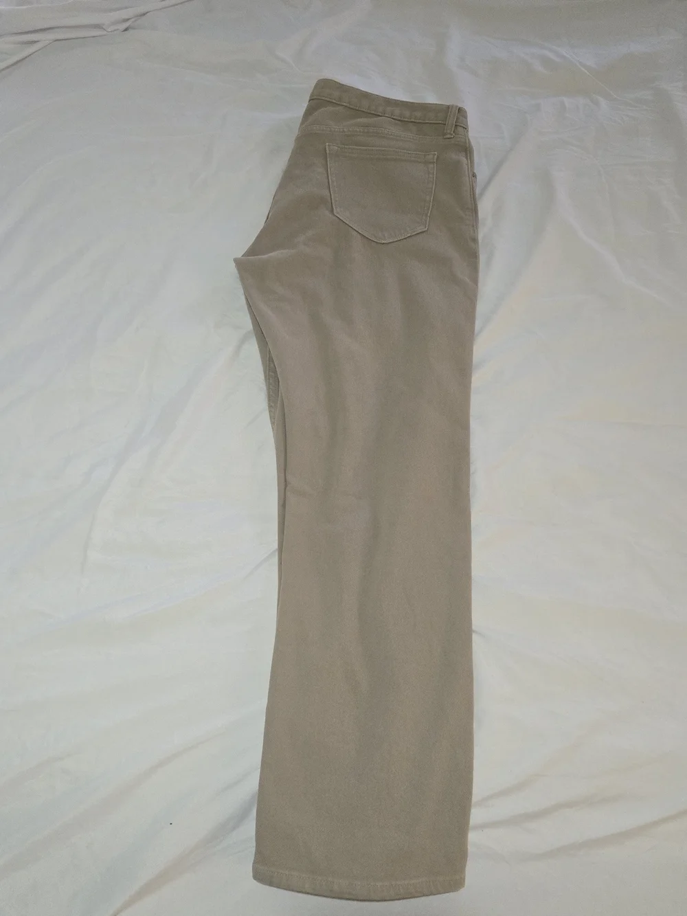 Banana Republic Beige Casual Trousers